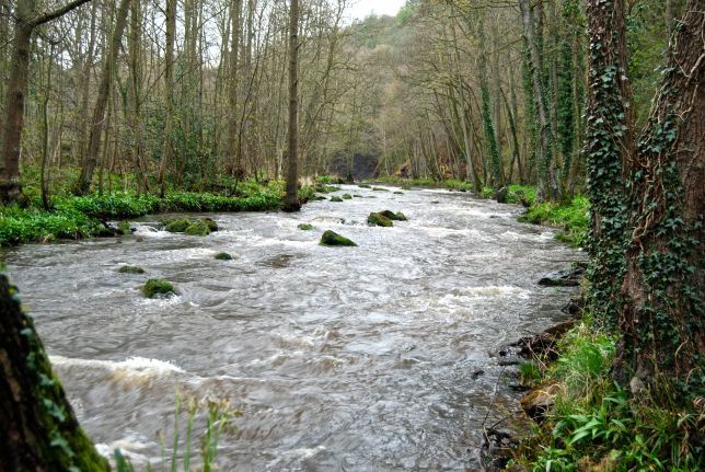 Upstream from Egton Bridge, the River Esk rushes on, in Spring flood.